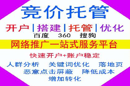 解析某某SEM服务公司的广告投放策略与效果评估